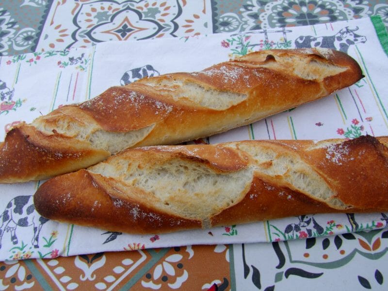 Cliquez pour zoomer ! Baguettes Thermomix par nadinemarie