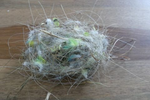 Cliquez pour zoomer ! Photo de nadinemarie Thermomix par nadinemarie