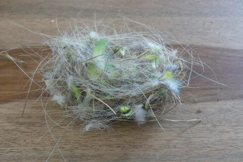 Cliquez pour zoomer ! Photo de nadinemarie Thermomix par nadinemarie