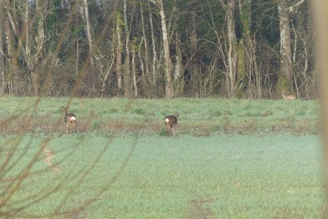 Cliquez pour zoomer ! Photo de nadinemarie Thermomix par nadinemarie