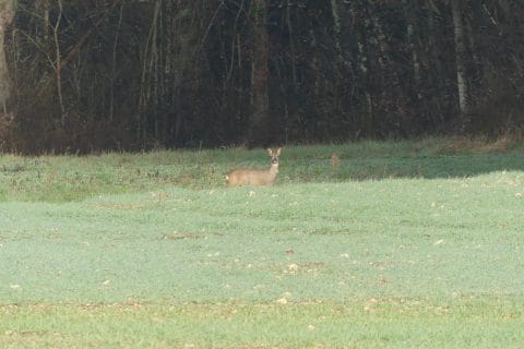 Cliquez pour zoomer ! Photo de nadinemarie Thermomix par nadinemarie