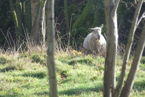 Cliquez pour zoomer ! Photo de nadinemarie Thermomix par nadinemarie
