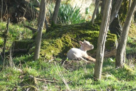 Cliquez pour zoomer ! Photo de nadinemarie Thermomix par nadinemarie