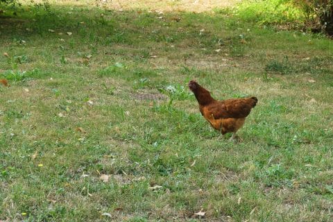 Cliquez pour zoomer ! Photo de nadinemarie Thermomix par nadinemarie