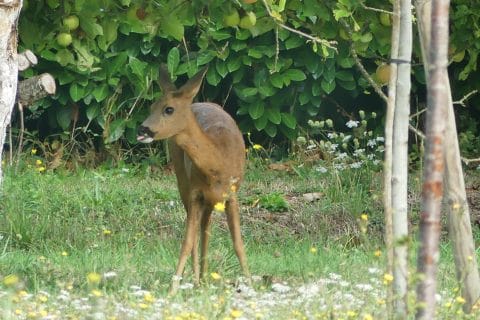Cliquez pour zoomer ! Photo de nadinemarie Thermomix par nadinemarie