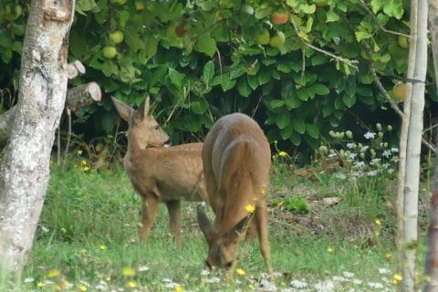 Cliquez pour zoomer ! Photo de nadinemarie Thermomix par nadinemarie