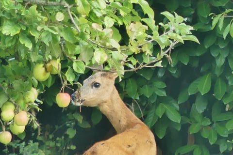 Cliquez pour zoomer ! Photo de nadinemarie Thermomix par nadinemarie
