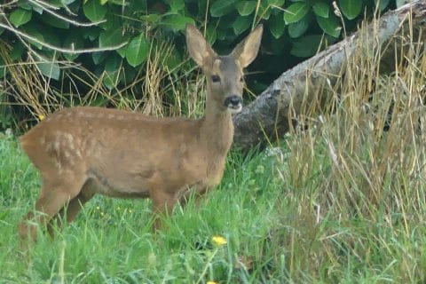 Cliquez pour zoomer ! Photo de nadinemarie Thermomix par nadinemarie