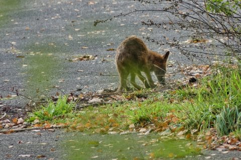 Cliquez pour zoomer ! Photo de nadinemarie Thermomix par nadinemarie