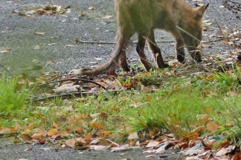 Cliquez pour zoomer ! Photo de nadinemarie Thermomix par nadinemarie