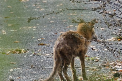 Cliquez pour zoomer ! Photo de nadinemarie Thermomix par nadinemarie