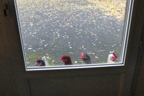 Cliquez pour zoomer ! Photo de nadinemarie Thermomix par nadinemarie