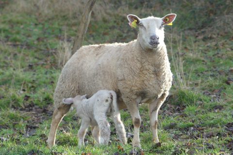 Cliquez pour zoomer ! Photo de nadinemarie Thermomix par nadinemarie