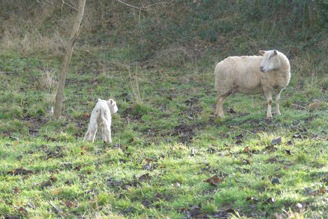 Cliquez pour zoomer ! Photo de nadinemarie Thermomix par nadinemarie