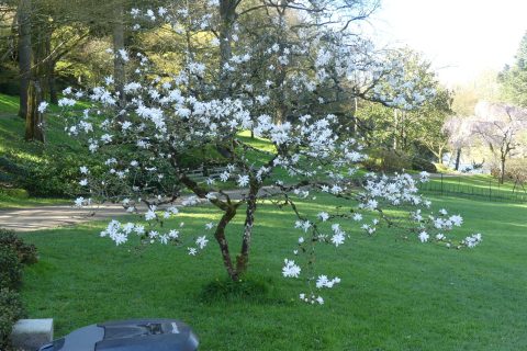 Cliquez pour zoomer ! Photo de nadinemarie Thermomix par nadinemarie