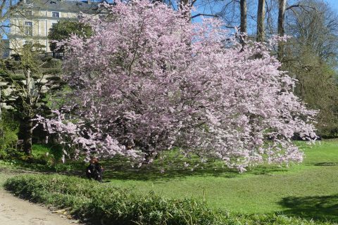Cliquez pour zoomer ! Photo de nadinemarie Thermomix par nadinemarie