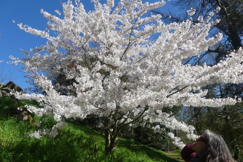 Cliquez pour zoomer ! Photo de nadinemarie Thermomix par nadinemarie