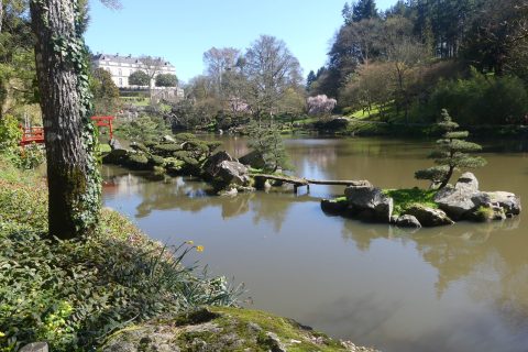 Cliquez pour zoomer ! Photo de nadinemarie Thermomix par nadinemarie