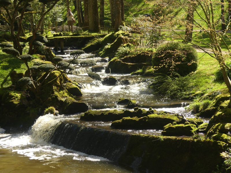 Cliquez pour zoomer ! Photo de nadinemarie Thermomix par nadinemarie