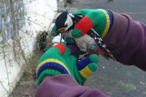 Cliquez pour zoomer ! Photo de nadinemarie Thermomix par nadinemarie