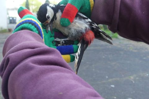 Cliquez pour zoomer ! Photo de nadinemarie Thermomix par nadinemarie