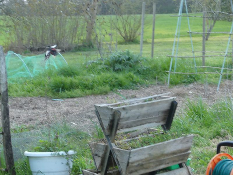 Cliquez pour zoomer ! Photo de nadinemarie Thermomix par nadinemarie