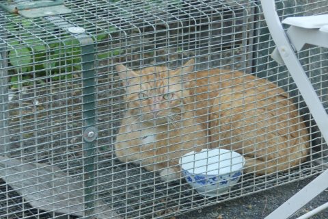 Cliquez pour zoomer ! Photo de nadinemarie Thermomix par nadinemarie