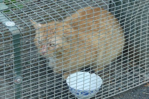 Cliquez pour zoomer ! Photo de nadinemarie Thermomix par nadinemarie