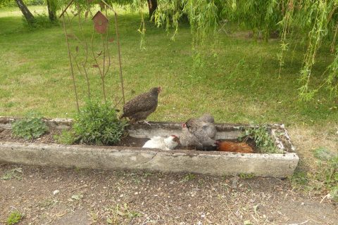 Cliquez pour zoomer ! Photo de nadinemarie Thermomix par nadinemarie