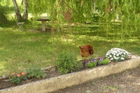 Cliquez pour zoomer ! Photo de nadinemarie Thermomix par nadinemarie