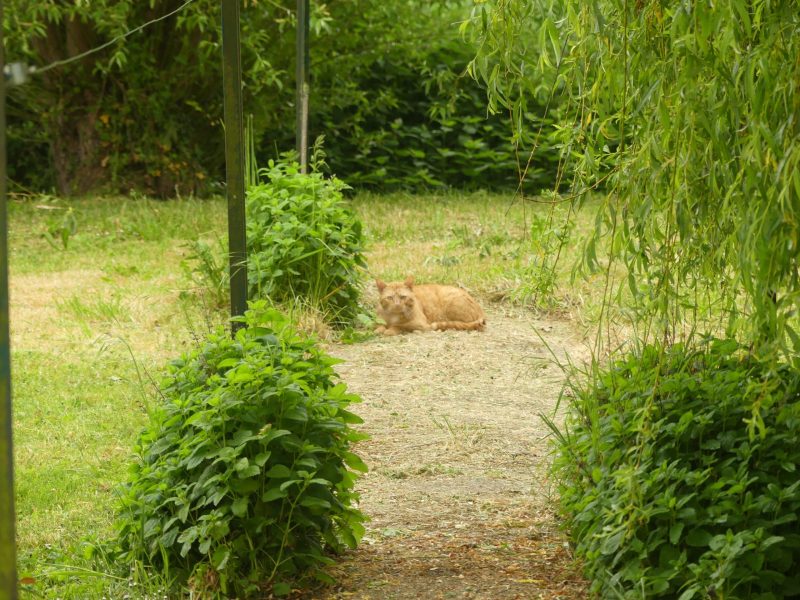 Cliquez pour zoomer ! Photo de nadinemarie Thermomix par nadinemarie