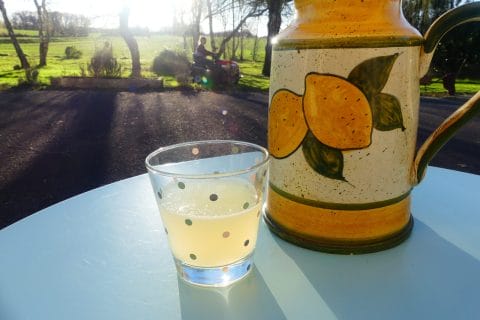 Photos des recettes