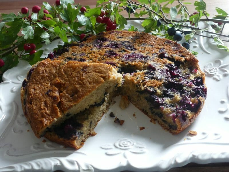 Cliquez pour zoomer ! Gâteau aux myrtilles Thermomix par nadinemarie