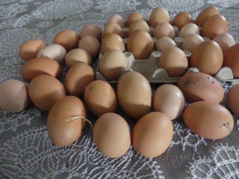 Cliquez pour zoomer ! Photo de nadinemarie Thermomix par nadinemarie