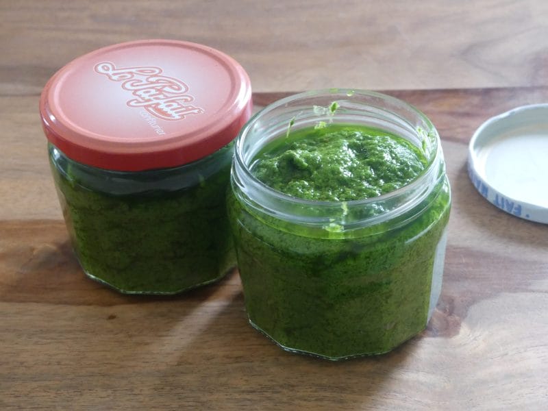 Cliquez pour zoomer ! Pesto à l’ail des ours Thermomix par nadinemarie
