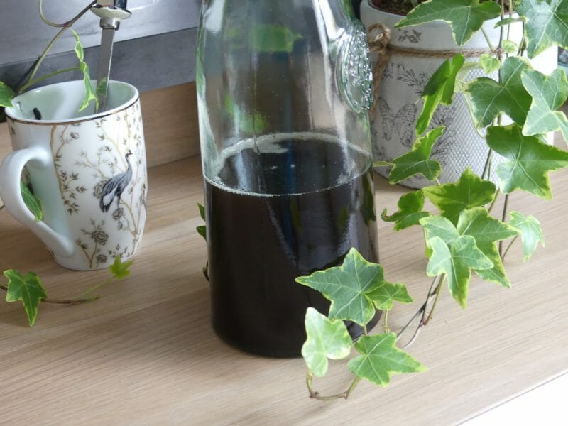 Cliquez pour zoomer ! Sirop chaï Thermomix par nadinemarie