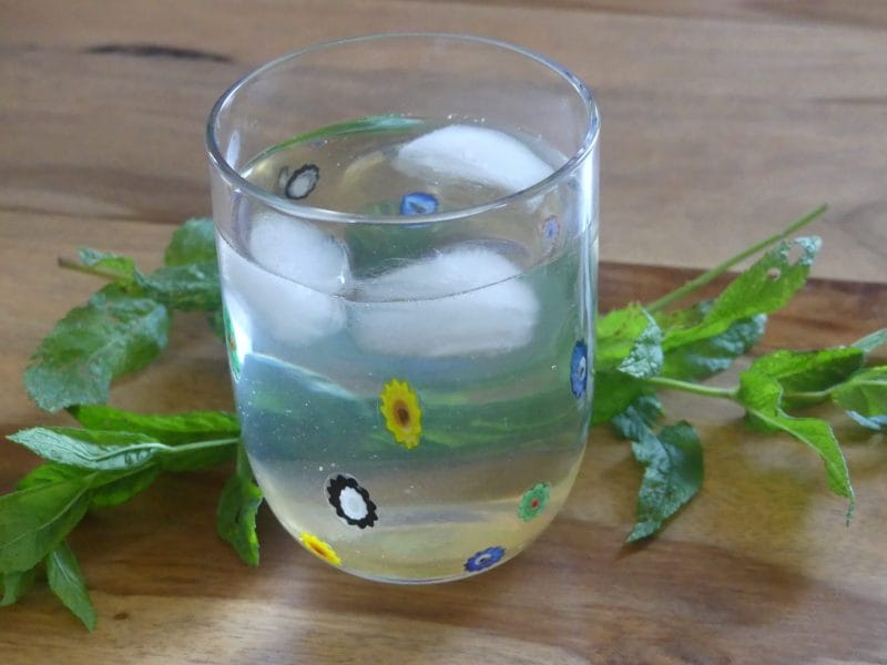 Cliquez pour zoomer ! Sirop de thé glacé – Ice tea citron menthe Thermomix par nadinemarie