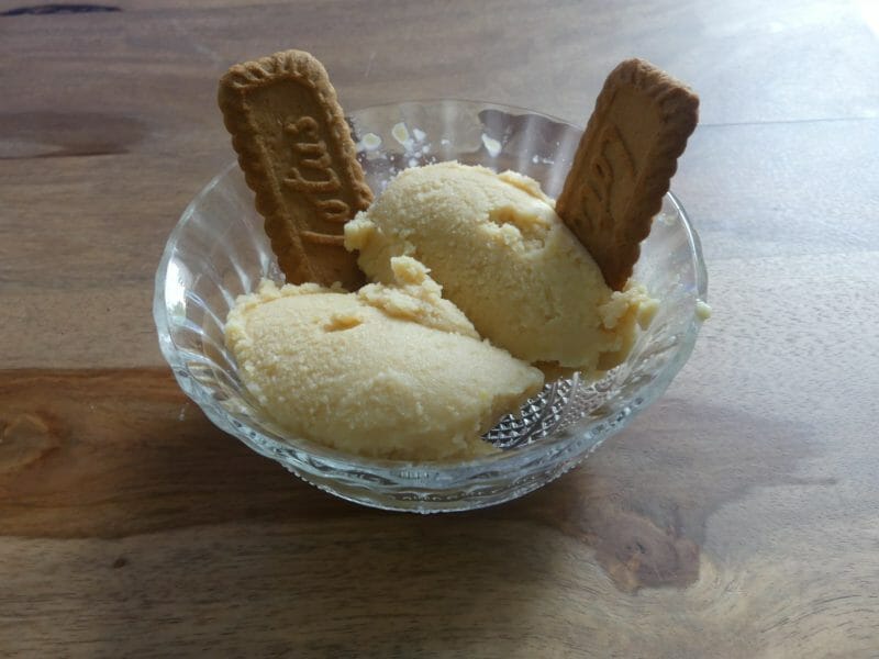 Cliquez pour zoomer ! Sorbet aux pommes et citron vert Thermomix par nadinemarie