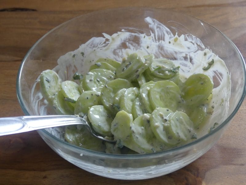Cliquez pour zoomer ! Tzatziki Thermomix par nadinemarie