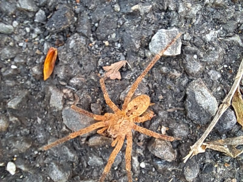 Cliquez pour zoomer ! Photo de nadinemarie Thermomix par nadinemarie