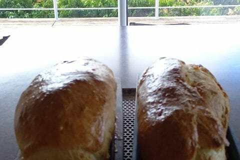 Cliquez pour zoomer ! Saucisson brioché Thermomix par danette6925