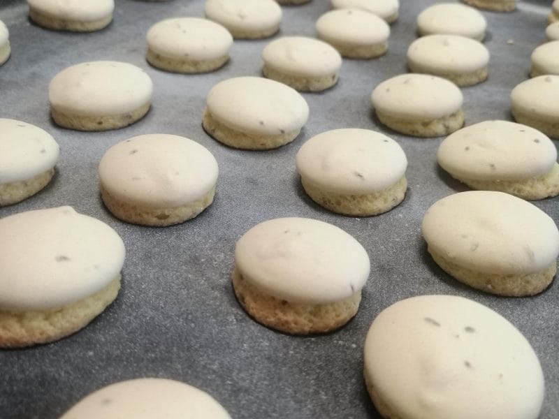 Cliquez pour zoomer ! Anis bredele Thermomix par drinet