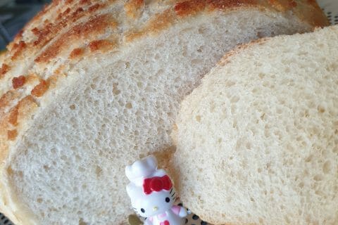 Cliquez pour zoomer ! Pain girafe Thermomix par Missdoro