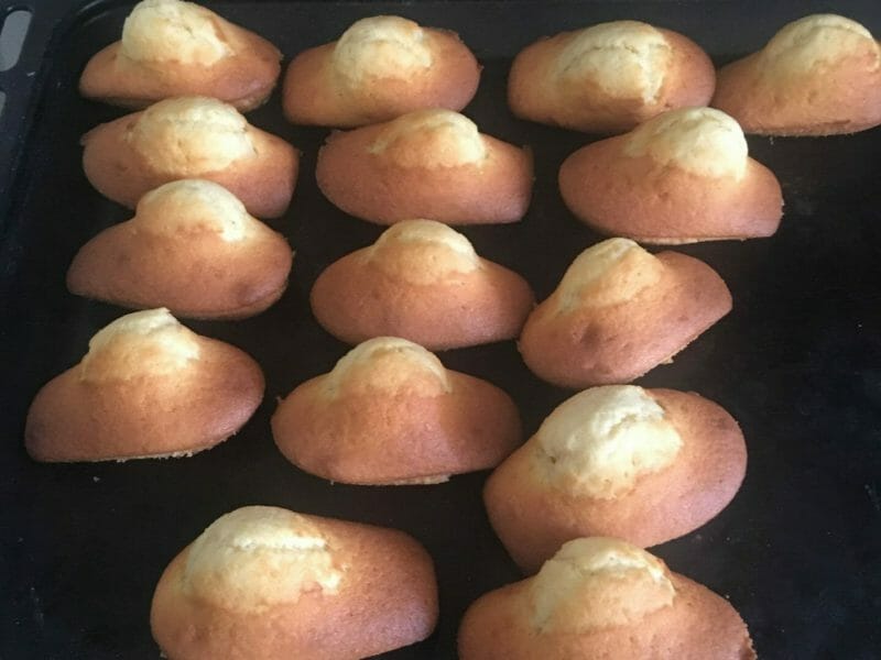 Cliquez pour zoomer ! Madeleines Thermomix par melaniemichel