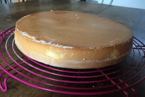 Cliquez pour zoomer ! Fraisier Thermomix par johanna21l
