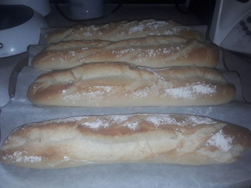 Cliquez pour zoomer ! Baguettes Thermomix par maminou78