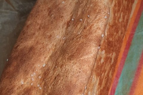 Photos des recettes