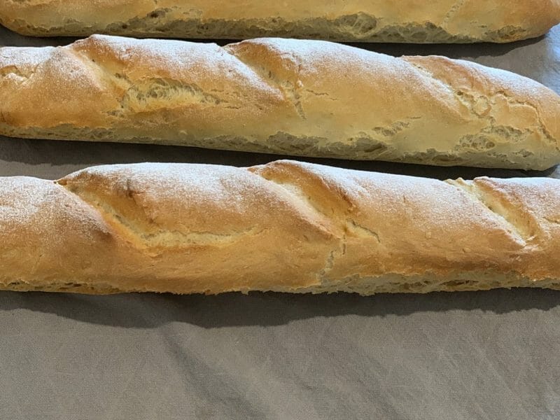 Cliquez pour zoomer ! Baguettes Thermomix par antho_15