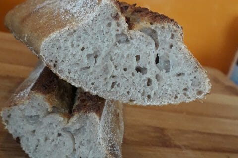 Cliquez pour zoomer ! Photo de coquoergosum