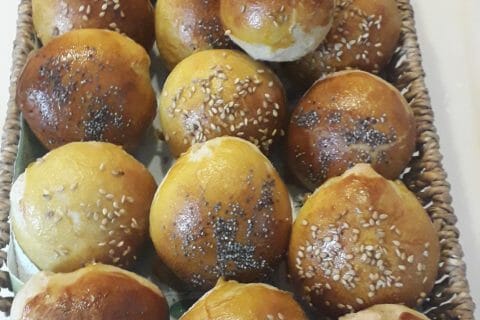 Cliquez pour zoomer ! Photo de coquoergosum